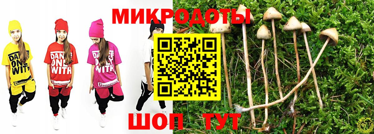 Галлюциногенные грибы Psilocybe Канаш