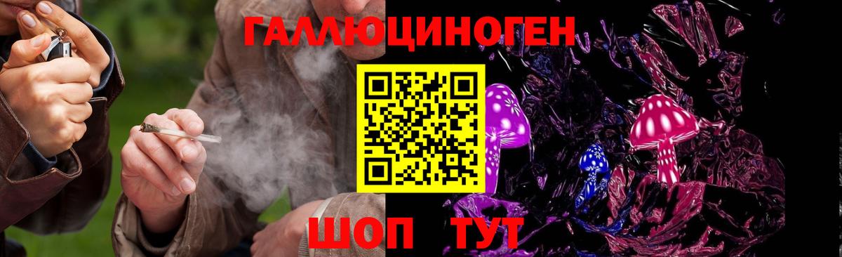 Галлюциногенные грибы прущие грибы  Вход с VPN  Канаш 